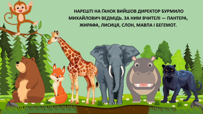  НАРЕШТІ НА ҐАНОК ВИЙШОВ ДИРЕКТОР БУРМИЛО МИХАЙЛОВИЧ ВЕДМІДЬ. ЗА НИМ ВЧИТЕЛІ — ПАНТЕРА, ЖИРАФА, ЛИСИЦЯ, СЛОН, МАВПА І БЕГЕМОТ.