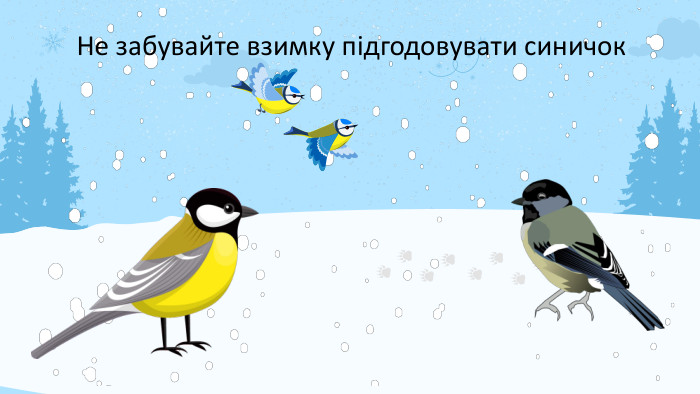 Не забувайте взимку підгодовувати синичок