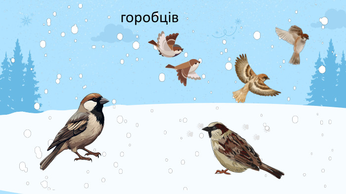 горобців