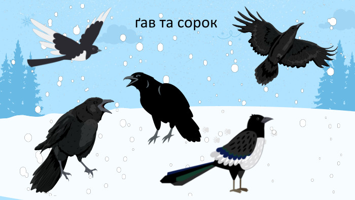 ґав та сорок