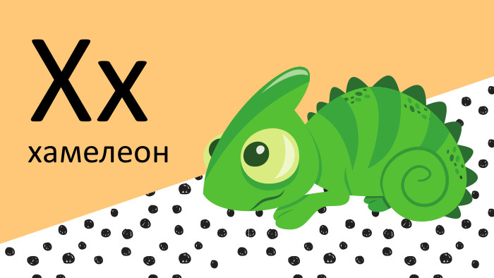 Xxхамелеон