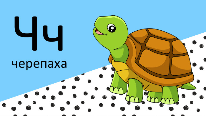 Чччерепаха