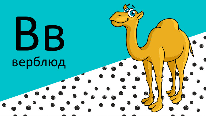 Ввверблюд