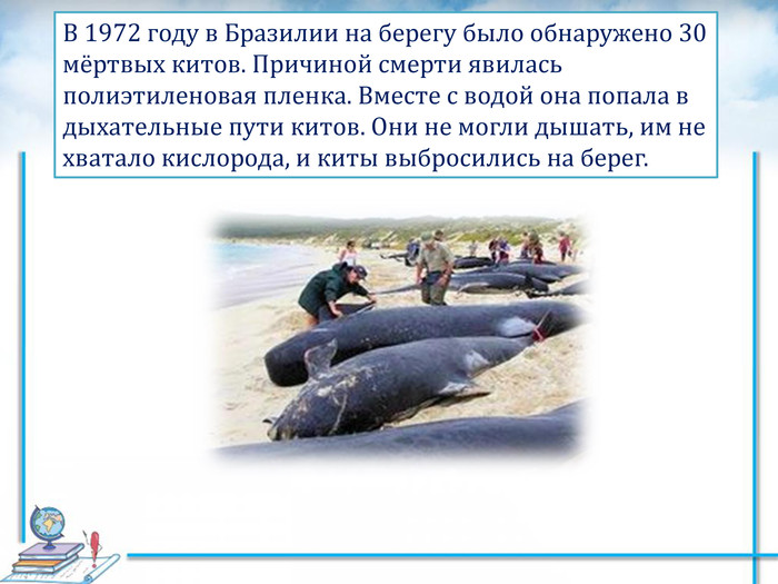    В 1972 году в Бразилии на берегу было обнаружено 30 мёртвых китов. Причиной смерти явилась полиэтиленовая пленка. Вместе с водой она попала в дыхательные пути китов. Они не могли дышать, им не хватало кислорода, и киты выбросились на берег. 