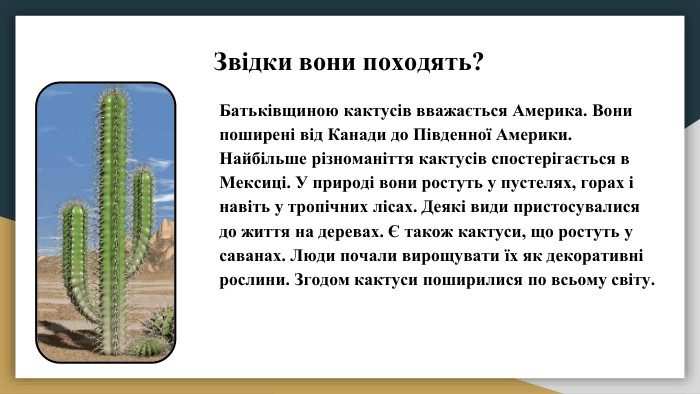 Звідки вони походять?Батьківщиною кактусів вважається Америка. Вони поширені від Канади до Південної Америки. Найбільше різноманіття кактусів спостерігається в Мексиці. У природі вони ростуть у пустелях, горах і навіть у тропічних лісах. Деякі види пристосувалися до життя на деревах. Є також кактуси, що ростуть у саванах. Люди почали вирощувати їх як декоративні рослини. Згодом кактуси поширилися по всьому світу.
