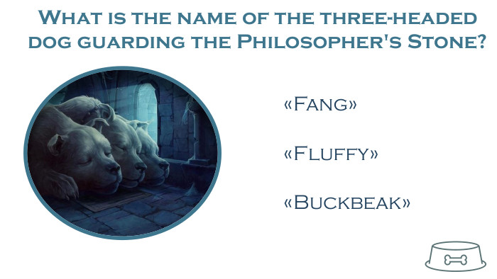 What is the name of the three-headed dog guarding the Philosopher's Stone?«Fang»«Fluffy»«Buckbeak»