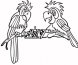 http://www.supercoloring.com/wp-content/main/2010_05/parrots-playing-chess-coloring-page.jpg