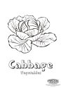 http://www.cool-coloring-pages.com/coloring_pictures/plants/vegetables/cabbage.jpg