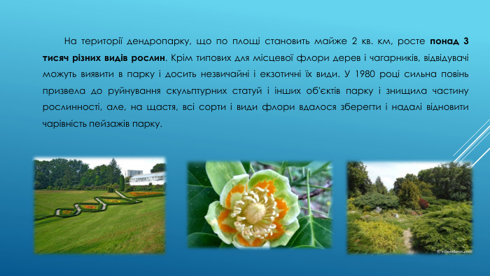 На території дендропарку, що по площі становить майже 2 кв. км, росте понад 3 тисяч різних видів рослин. Крім типових для місцевої флори дерев і чагарників, відвідувачі можуть виявити в парку і досить незвичайні і екзотичні їх види. У 1980 році сильна повінь призвела до руйнування скульптурних статуй і інших об'єктів парку і знищила частину рослинності, але, на щастя, всі сорти і види флори вдалося зберегти і надалі відновити чарівність пейзажів парку.