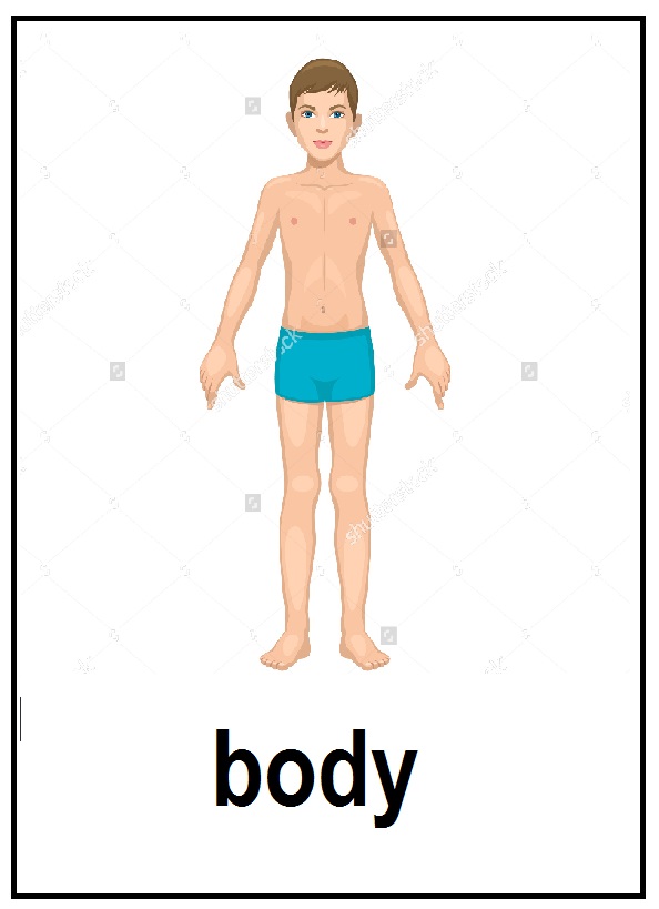 body.jpg