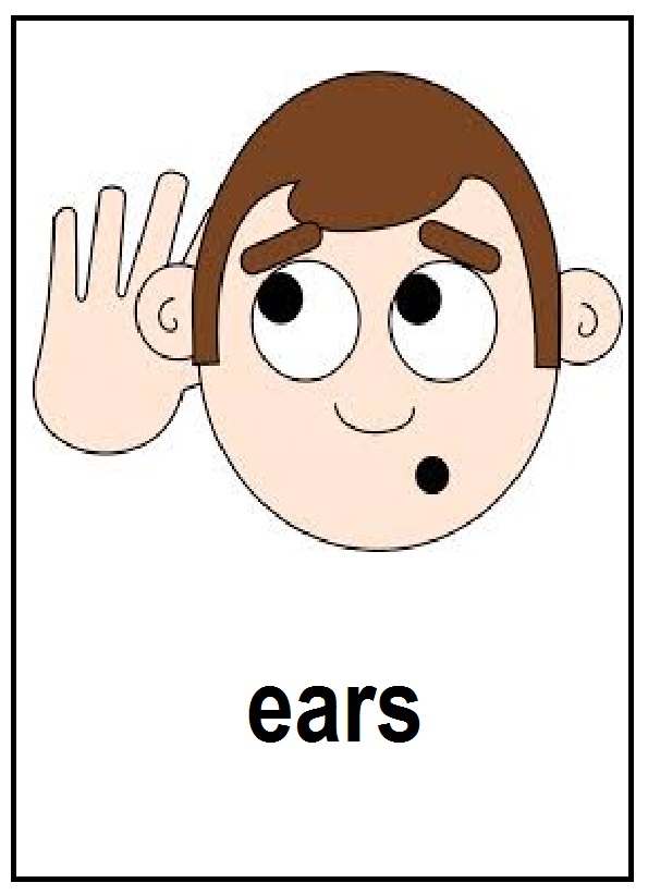 ears.jpg