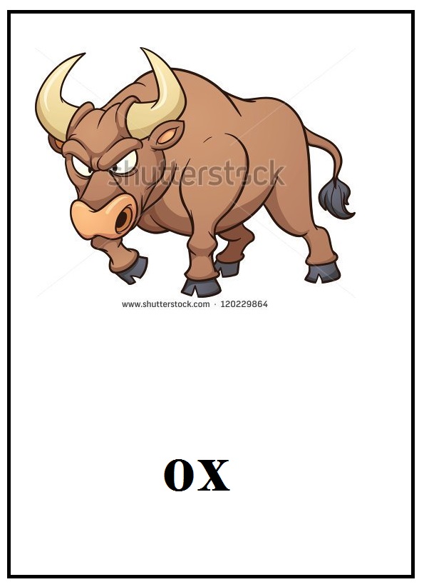 ox.jpg
