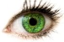 Результат пошуку зображень за запитом "green eyes"