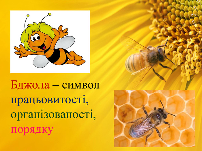 Бджола – символ працьовитості,  організованості, порядку 