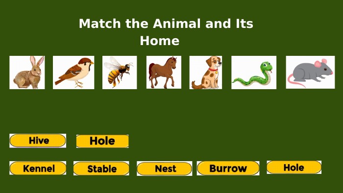  Match the Animal and Its Home 