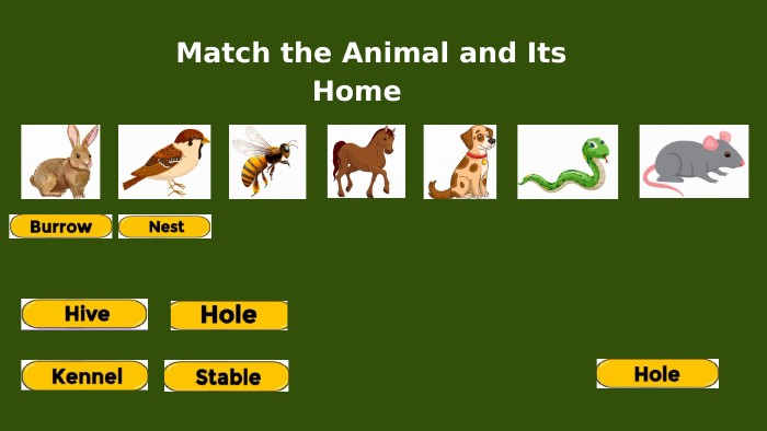  Match the Animal and Its Home 