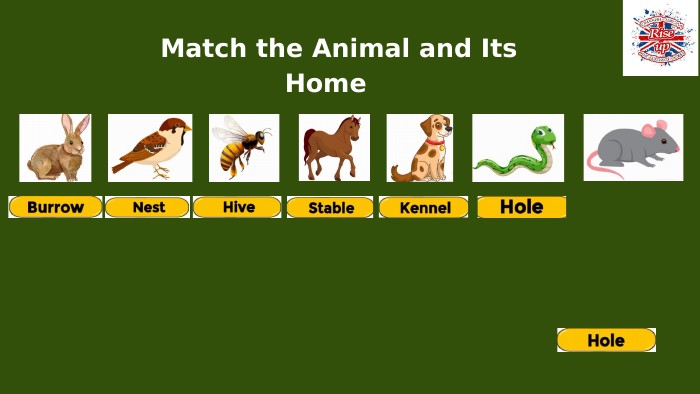  Match the Animal and Its Home 