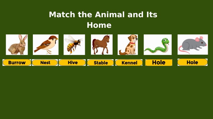  Match the Animal and Its Home 