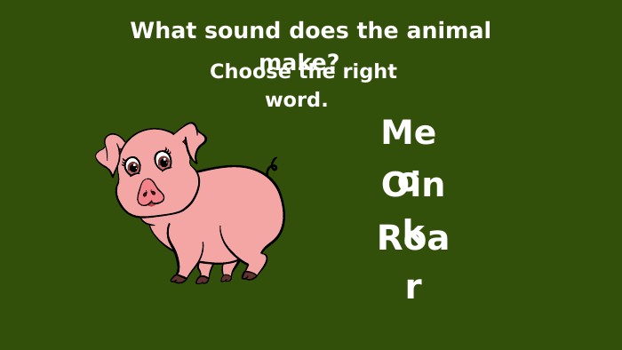 What sound does the animal make? Choose the right word. Meo. Oink. Roar