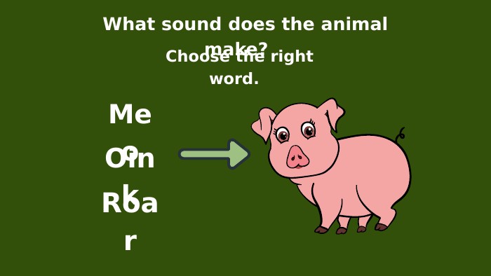 What sound does the animal make? Choose the right word. Meo. Oink. Roar