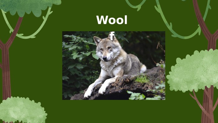 Woolf