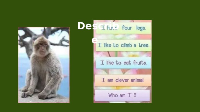  Describe 
