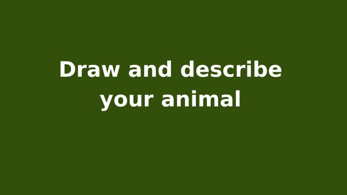 Draw and describe your animal