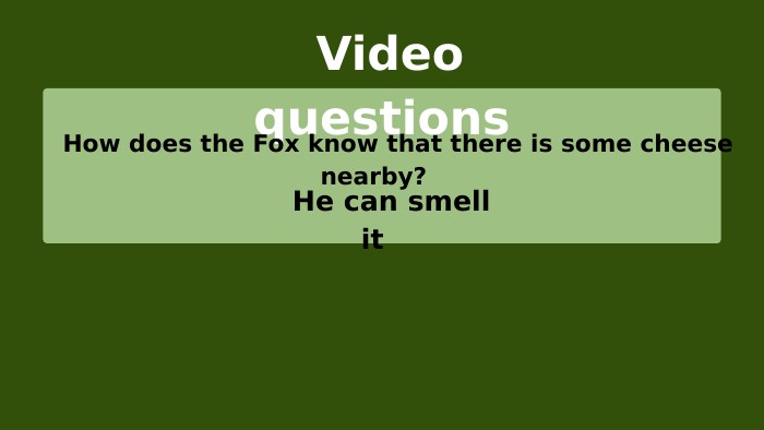  Video questions How does the Fox know that there is some cheese nearby? He can smell it 