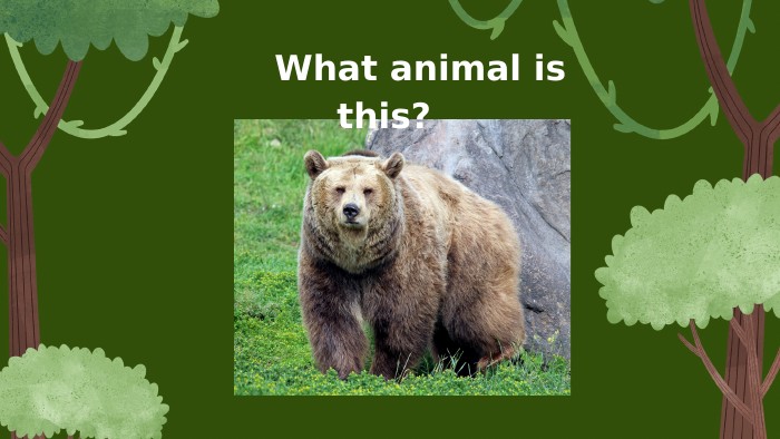 What animal is this? 