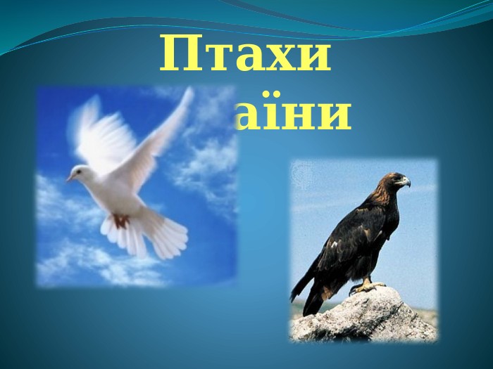  Птахи України