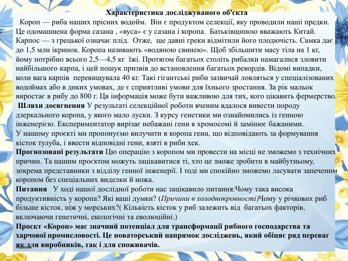 Характеристика досліджуваного об'єкта Короп — риба наших прісних водойм. Він є продуктом селекції, яку проводили наші предки. Це одомашнена форма сазана , «вуса» є у сазана і коропа. Батьківщиною вважають Китай. Карпос — з грецької означає плід. Отже, ще давні греки відмітили його плодючість. Самка дає до 1,5 млн ікринок. Коропа називають «водяною свинею». Щоб збільшити масу тіла на 1 кг, йому потрібно всього 2,5—4,5 кг їжі. Протягом багатьох століть рибалки намагалися зловити найбільшого карпа, і цей пошук призвів до встановлення багатьох рекордів. Відомі випадки, коли вага карпів перевищувала 40 кг. Такі гігантські риби зазвичай ловляться у спеціалізованих водоймах або в диких умовах, де є сприятливі умови для їхнього зростання. За рік мальок виростає в рибу до 800 г. Ця інформація може бути важливою для тих, кого цікавить фермерство. Шляхи досягнення У результаті селекційної роботи вченим вдалося вивести породу дзеркального коропа, у якого мало луски. З курсу генетики ми ознайомились із генною інженерією. Експериментатор вирізає небажані гени в хромосомі й замінює бажаними. У нашому проєкті ми пропонуємо вилучити в коропа гени, що відповідають за формування кісток тулуба, і ввести відповідні гени, взяті в риби хек. Прогнозовані результати Цю операцію з коропом ми провести на місці не зможемо з технічних причин. Та нашим проєктом можуть зацікавитися ті, хто це зможе зробити в майбутньому, зокрема представники з відділу генної інженерії. І тоді ми спокійно зможемо ласувати запеченим коропом без спеціальних виделки й ножа. Питання У ході нашої дослідної роботи нас зацікавило питання: Чому така висока продуктивність у коропа? Які ваші думки? (Причини в холоднокровності)Чому у річкових риб більше кісток, ніж у морських?( Кількість кісток у риб залежить від багатьох факторів, включаючи генетичні, екологічні та еволюційні.)Проєкт «Короп» має значний потенціал для трансформації рибного господарства та харчової промисловості. Це новаторський напрямок досліджень, який обіцяє ряд переваг як для виробників, так і для споживачів.