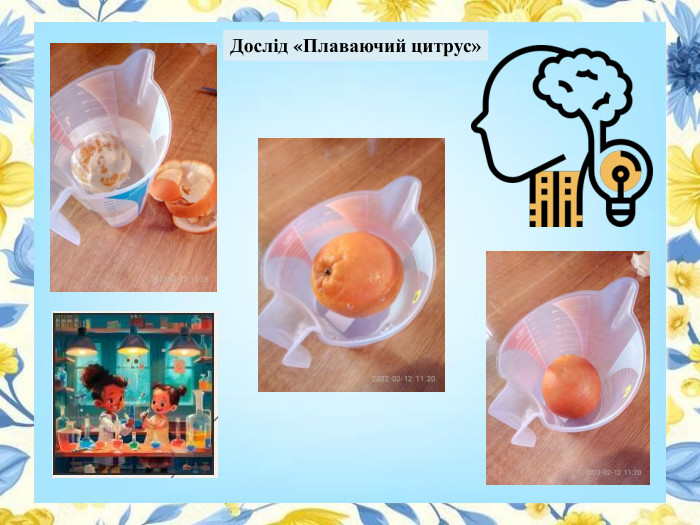 Дослід «Плаваючий цитрус»