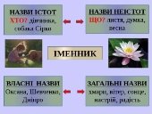 Іменник - презентація з української мови