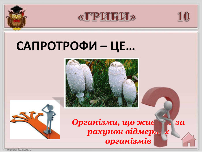 «ГРИБИ»10 Організми, що живуть за рахунок відмерлих організмів САПРОТРОФИ – ЦЕ…