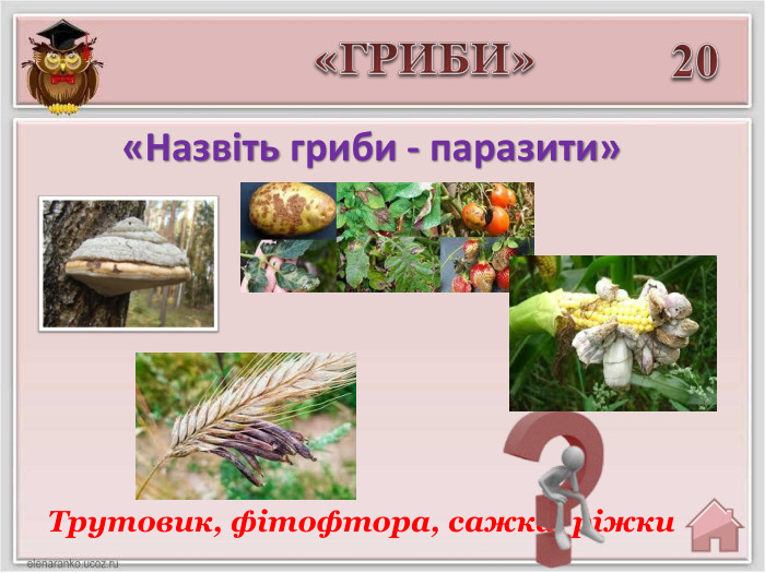 20 Трутовик, фітофтора, сажка, ріжки«ГРИБИ»«Назвіть гриби - паразити»