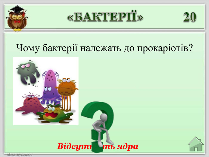 Відсутність ядра20«БАКТЕРІЇ»Чому бактерії належать до прокаріотів?