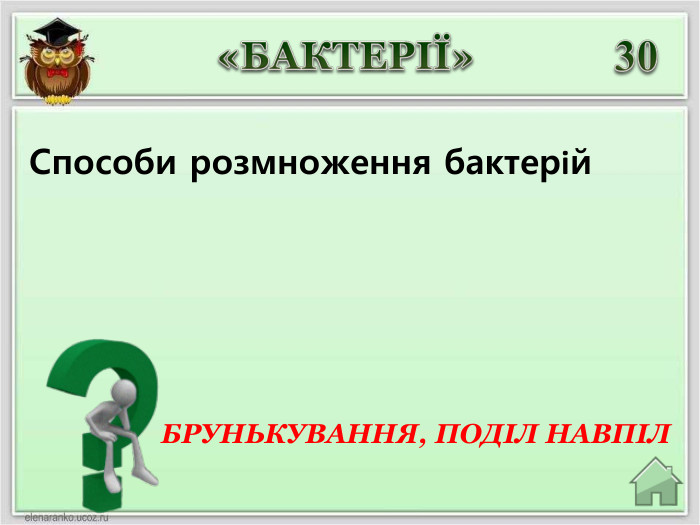 30 БРУНЬКУВАННЯ, ПОДІЛ НАВПІЛ «БАКТЕРІЇ»Способи розмноження бактерій