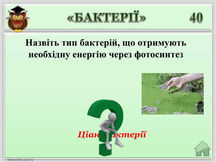 Ціанобактерії40«БАКТЕРІЇ»Назвіть тип бактерій, що отримують необхідну енергію через фотосинтез