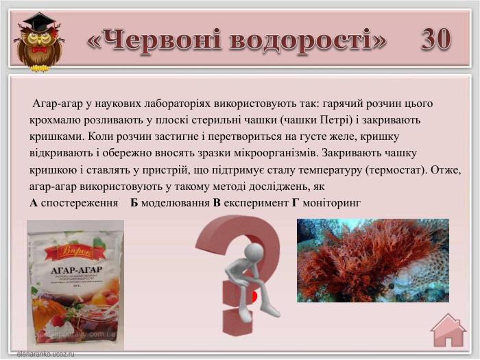 30«Червоні водорості»В Агар-агар у наукових лабораторіях використовують так: гарячий розчин цього крохмалю розливають у плоскі стерильні чашки (чашки Петрі) і закривають кришками. Коли розчин застигне і перетвориться на густе желе, кришку відкривають і обережно вносять зразки мікроорганізмів. Закривають чашку кришкою і ставлять у пристрій, що підтримує сталу температуру (термостат). Отже, агар-агар використовують у такому методі досліджень, як. А спостереження Б моделювання В експеримент Г моніторинг