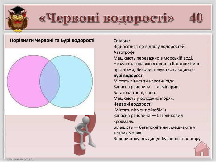 Спільне Відносяться до відділу водоростей. Автотрофи Мешкають переважно в морській воді. Не мають справжніх органів Багатоклітинні організми, Використовуються людиною. Бурі водоростіМістять пігменти каротиноїди. Запасна речовина — ламінарин. Багатоклітинні, часто Мешкають у холодних морях. Червоні водорості Містять пігмент фікобілін . Запасна речовина — багрянковий крохмаль. Більшість — багатоклітинні, мешкають у теплих морях. Використовують для добування агар-агару. 40«Червоні водорості»Порівняти Червоні та Бурі водорості