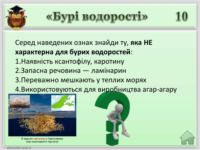 4«Бурі водорості»10 Серед наведених ознак знайди ту, яка НЕ характерна для бурих водоростей: Наявність ксантофілу, каротину. Запасна речовина — ламінарин. Переважно мешкають у теплих морях. Використовуються для виробництва агар-агару