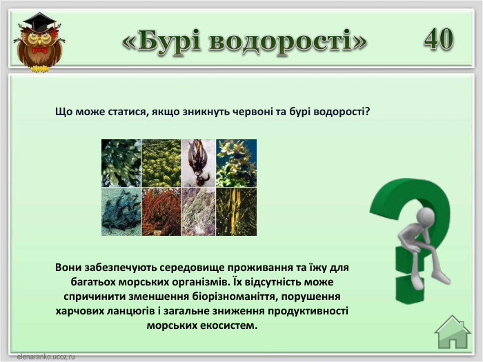 Вони забезпечують середовище проживання та їжу для багатьох морських організмів. Їх відсутність може спричинити зменшення біорізноманіття, порушення харчових ланцюгів і загальне зниження продуктивності морських екосистем.40«Бурі водорості» Що може статися, якщо зникнуть червоні та бурі водорості?