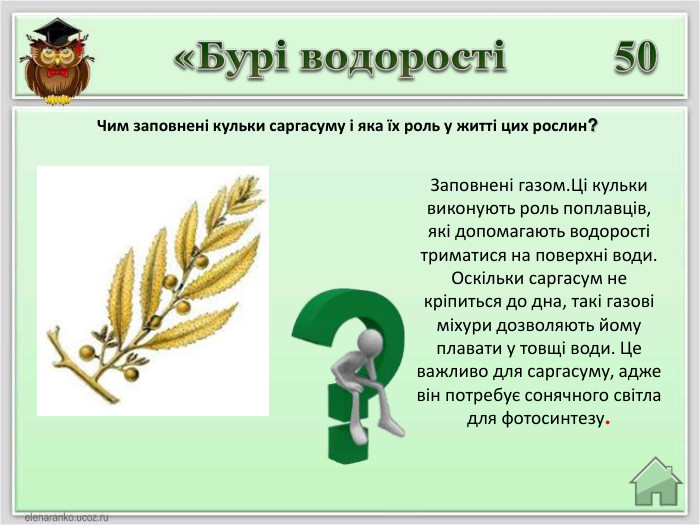 Заповнені газом. Ці кульки виконують роль поплавців, які допомагають водорості триматися на поверхні води. Оскільки саргасум не кріпиться до дна, такі газові міхури дозволяють йому плавати у товщі води. Це важливо для саргасуму, адже він потребує сонячного світла для фотосинтезу. 50 Чим заповнені кульки саргасуму і яка їх роль у житті цих рослин?«Бурі водорості