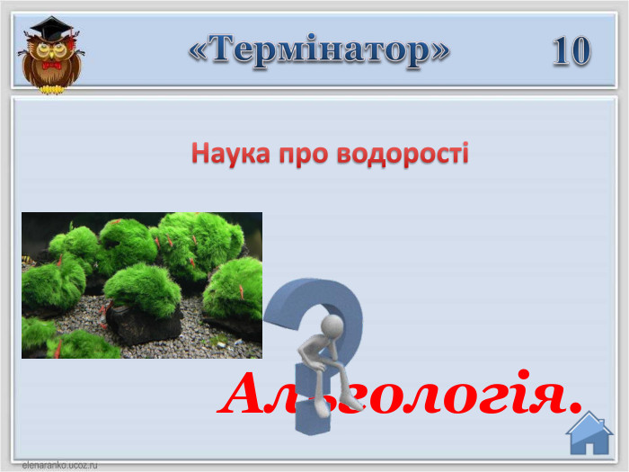 «Термінатор»10 Альгологія. Наука про водорості1