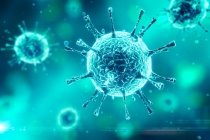 7 поширених питань про новий коронавірус | Департамент охорони здоров'я