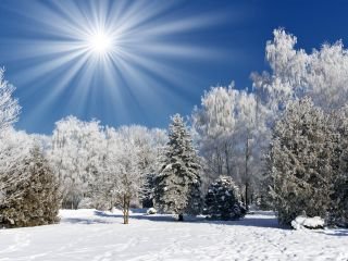 Image result for картинки зими
