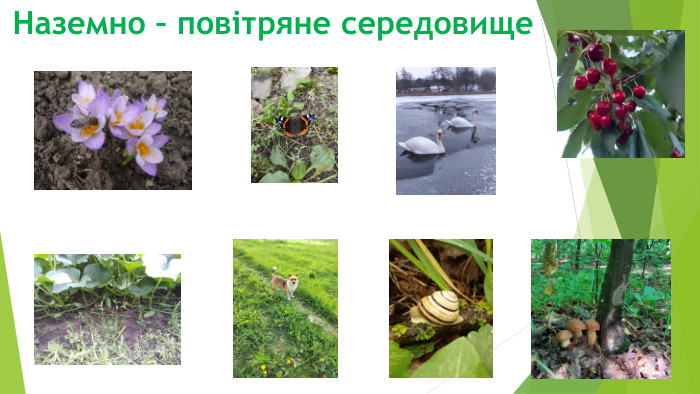 Наземно – повітряне середовище