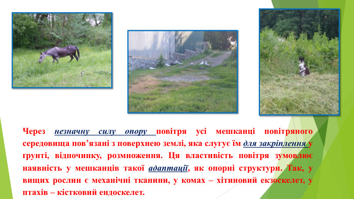 Через незначну силу опору повітря усі мешканці повітряного середовища пов’язані з поверхнею землі, яка слугує їм для закріплення у ґрунті, відпочинку, розмноження. Ця властивість повітря зумовлює наявність у мешканців такої адаптації, як опорні структури. Так, у вищих рослин є механічні тканини, у комах – хітиновий екзоскелет, у птахів – кістковий ендоскелет.