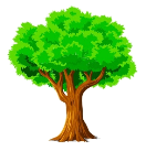 Загадки про Деревья для детей с ответами