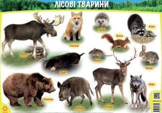 Плакат "Лісові тварини" ФОРМАТ А1 - Постеры, карты